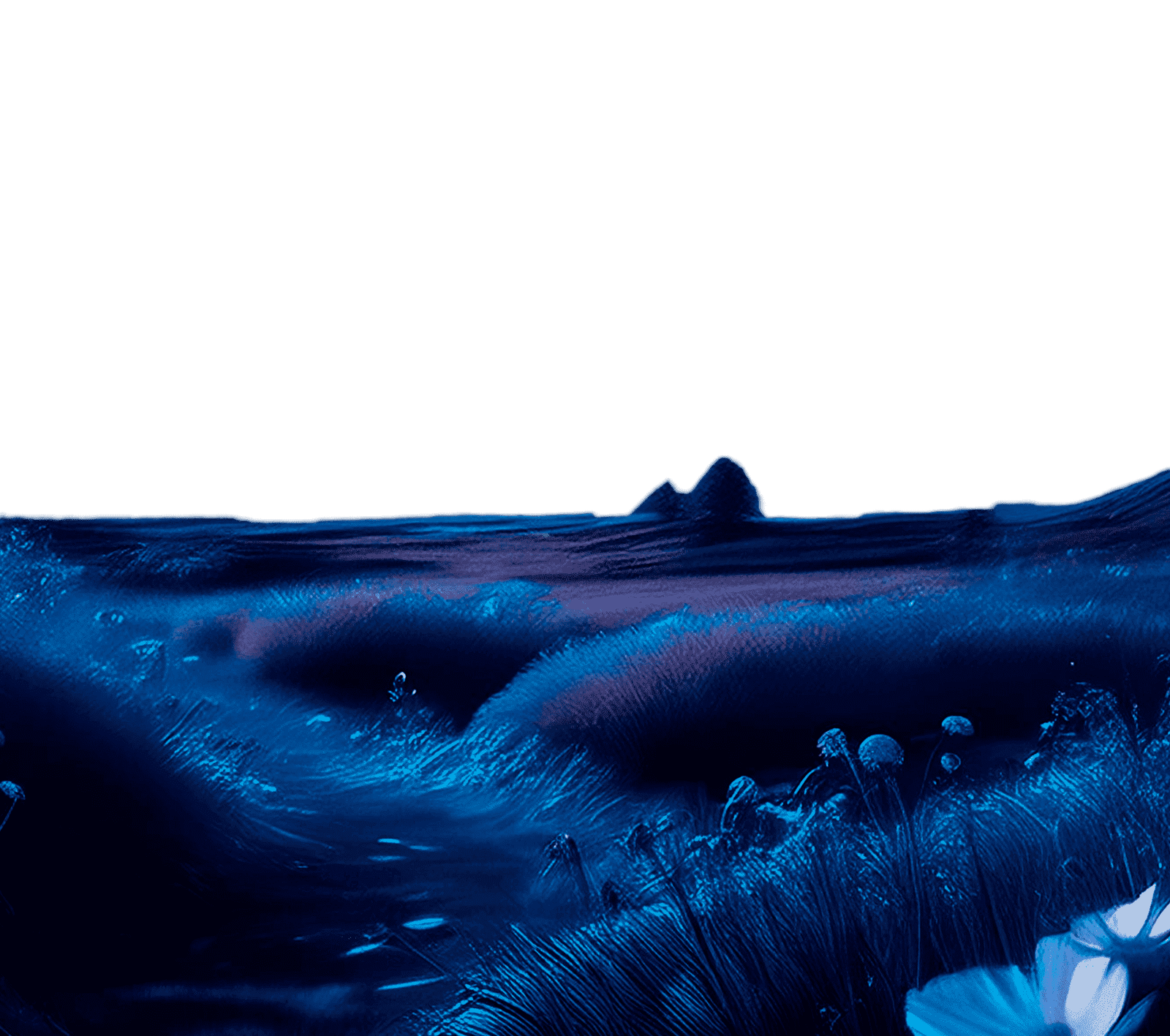 Fondo de contacto de Shai Diseño Gráfico con paisaje de páramo, utilizado en la sección de contacto del sitio web.